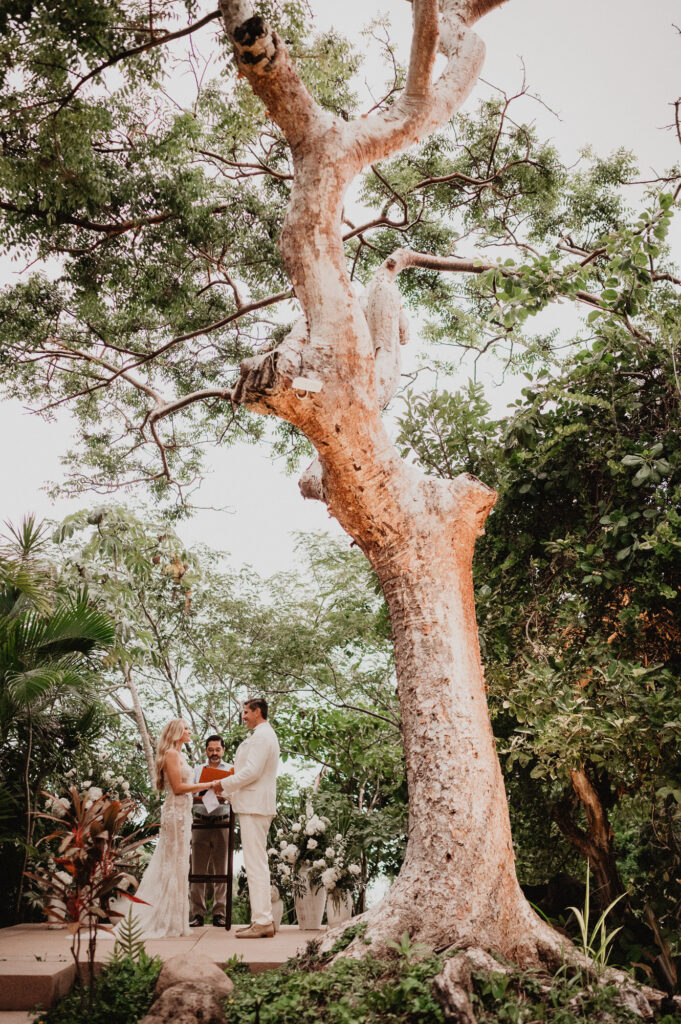 Elopement ceremony under tropical tree at One&Only Mandarina, Mexico, shot by destination wedding photographer